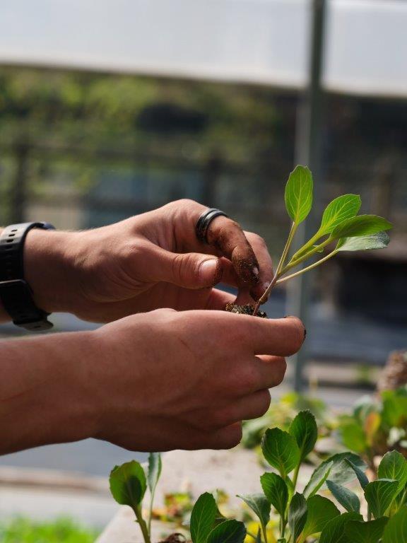 Production Horticole